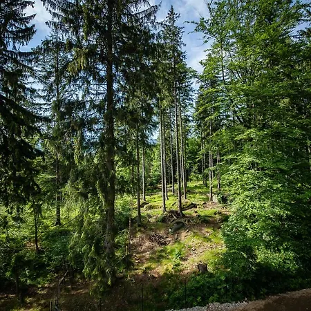 Obis Frühstückspension Schreiberhau