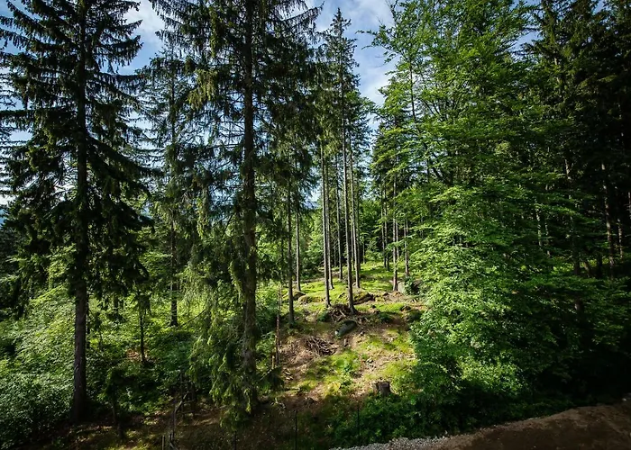 Obis Bed & Breakfast Szklarska Poreba